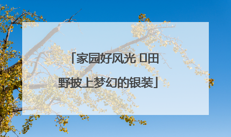家园好风光 ⎮田野披上梦幻的银装