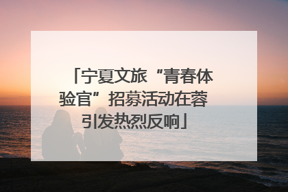 宁夏文旅“青春体验官”招募活动在蓉引发热烈反响