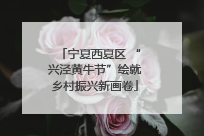宁夏西夏区 “兴泾黄牛节”绘就乡村振兴新画卷
