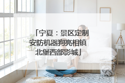 宁夏：景区定制安防机器狗亮相镇北堡西部影城