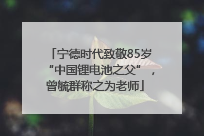 宁德时代致敬85岁“中国锂电池之父”，曾毓群称之为老师