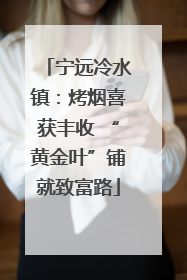 宁远冷水镇：烤烟喜获丰收 “黄金叶”铺就致富路