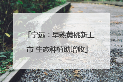 宁远：早熟黄桃新上市 生态种植助增收