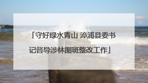 守好绿水青山 漳浦县委书记督导涉林图斑整改工作