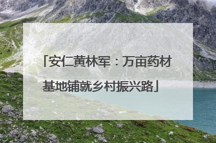 安仁黄林军：万亩药材基地铺就乡村振兴路