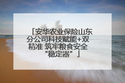 安华农业保险山东分公司科技赋能+双精准 筑牢粮食安全“稳定器”