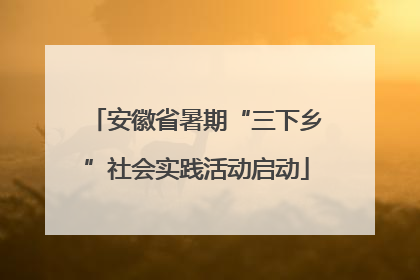 安徽省暑期“三下乡”社会实践活动启动