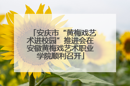 安庆市“黄梅戏艺术进校园”推进会在安徽黄梅戏艺术职业学院顺利召开