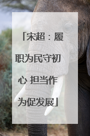 宋超：履职为民守初心 担当作为促发展