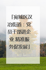 宛城区汉冶街道：党员干部进企业 精准服务促发展