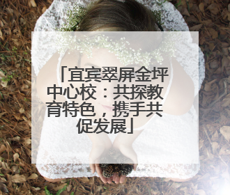宜宾翠屏金坪中心校：共探教育特色，携手共促发展