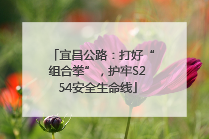 宜昌公路：打好“组合拳”，护牢S254安全生命线