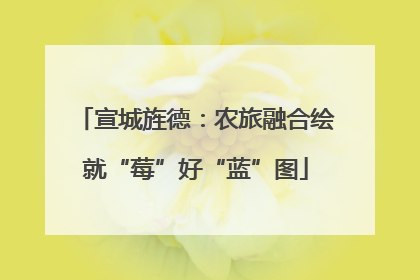 宣城旌德：农旅融合绘就“莓”好“蓝”图