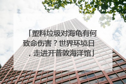 塑料垃圾对海龟有何致命伤害？世界环境日，走进开普敦海洋馆