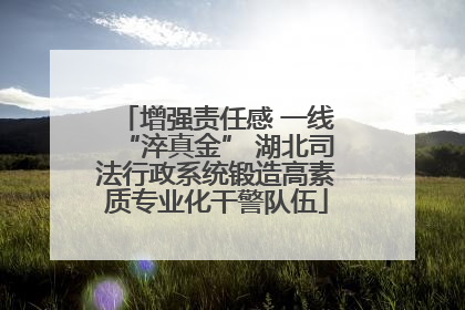增强责任感 一线“淬真金” 湖北司法行政系统锻造高素质专业化干警队伍