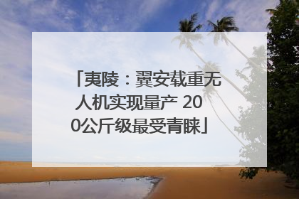 夷陵：翼安载重无人机实现量产 200公斤级最受青睐