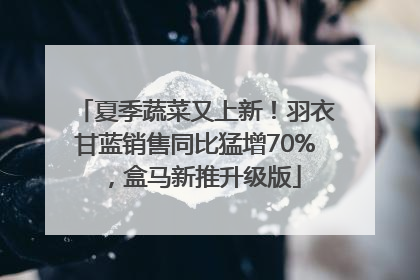 夏季蔬菜又上新！羽衣甘蓝销售同比猛增70%，盒马新推升级版