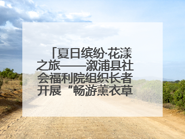 夏日缤纷·花漾之旅——溆浦县社会福利院组织长者开展“畅游薰衣草庄园 共享紫色浪漫”户外活动