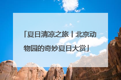 夏日清凉之旅丨北京动物园的奇妙夏日大赏
