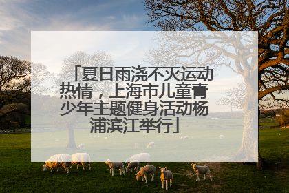 夏日雨浇不灭运动热情，上海市儿童青少年主题健身活动杨浦滨江举行