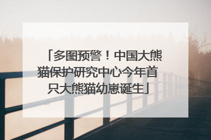 多图预警！中国大熊猫保护研究中心今年首只大熊猫幼崽诞生