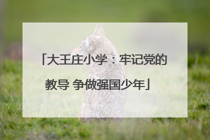 大王庄小学：牢记党的教导 争做强国少年