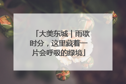 大美东城｜雨歇时分，这里藏着一片会呼吸的绿境