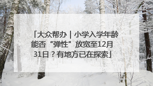 大众帮办｜小学入学年龄能否“弹性”放宽至12月31日？有地方已在探索