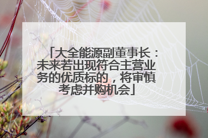 大全能源副董事长：未来若出现符合主营业务的优质标的，将审慎考虑并购机会