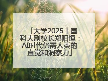 大学2025丨国科大副校长郑阳恒：AI时代仍需人类的直觉和洞察力