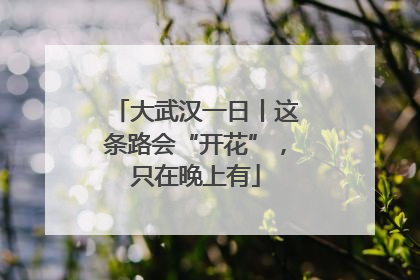 大武汉一日丨这条路会“开花”，只在晚上有