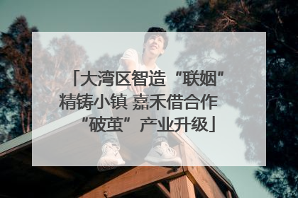 大湾区智造“联姻”精铸小镇 嘉禾借合作“破茧”产业升级