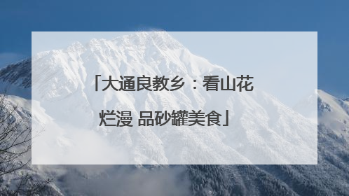 大通良教乡：看山花烂漫 品砂罐美食