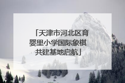 天津市河北区育婴里小学国际象棋共建基地启航