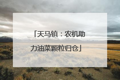 天马镇：农机助力油菜颗粒归仓
