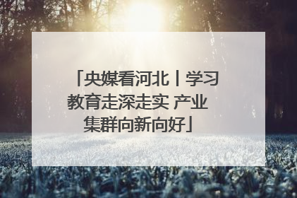 央媒看河北丨学习教育走深走实 产业集群向新向好