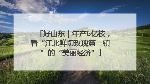 好山东｜年产6亿枝，看“江北鲜切玫瑰第一镇”的“美丽经济”