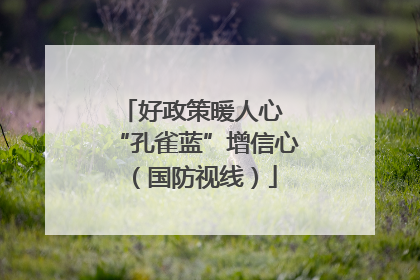 好政策暖人心 “孔雀蓝”增信心（国防视线）