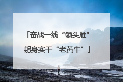 奋战一线“领头雁” 躬身实干“老黄牛”