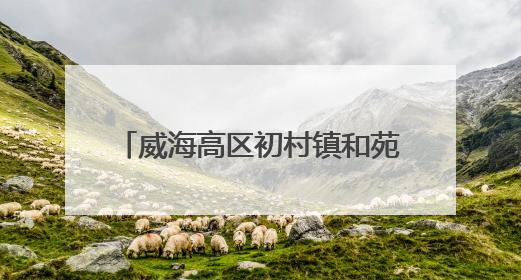 威海高区初村镇和苑社区：以“菜”为媒，以“趣”会友 架起邻里 “连心桥”