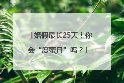 婚假最长25天！你会“度蜜月”吗？
