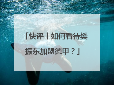 快评丨如何看待樊振东加盟德甲？