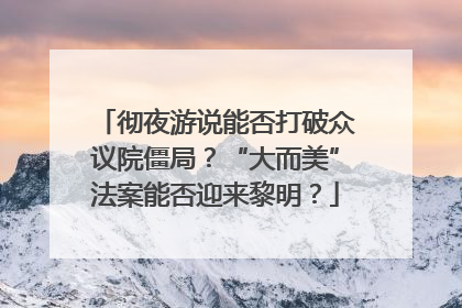 彻夜游说能否打破众议院僵局？“大而美”法案能否迎来黎明？