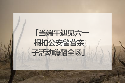 当端午遇见六一 桐柏公安警营亲子活动嗨翻全场