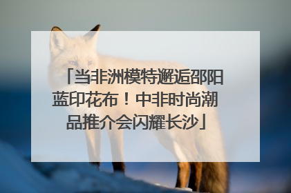 当非洲模特邂逅邵阳蓝印花布！中非时尚潮品推介会闪耀长沙