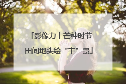 影像力丨芒种时节 田间地头绘“丰”景