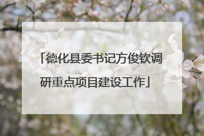 德化县委书记方俊钦调研重点项目建设工作