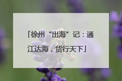 徐州“出海”记：通江达海，货行天下