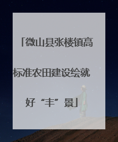 微山县张楼镇高标准农田建设绘就好“丰”景