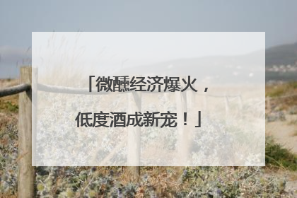 微醺经济爆火，低度酒成新宠！